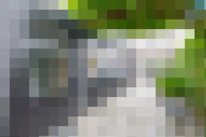 Bremraap 14 Tegelen thumbnail 27