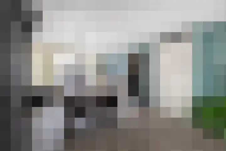 Bremraap 14 Tegelen thumbnail 6