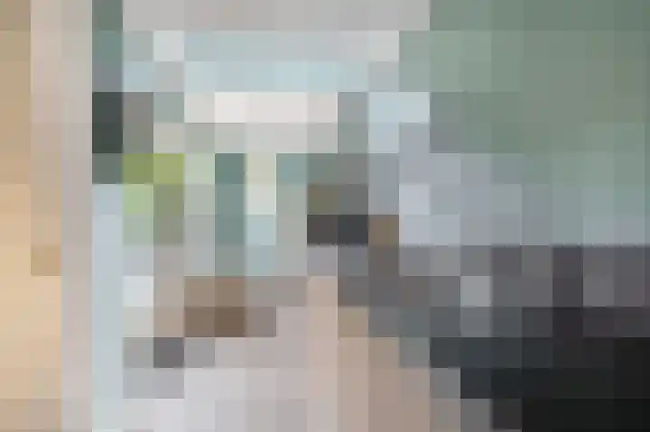 Bremraap 14 Tegelen thumbnail 8