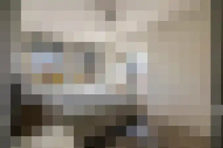 Bremraap 8 Tegelen thumbnail 12