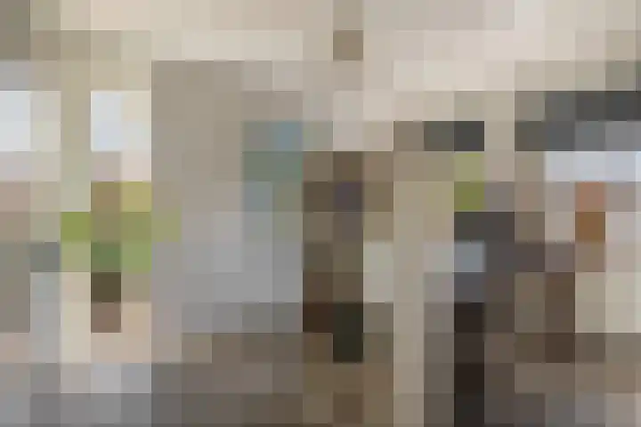 Bremraap 8 Tegelen thumbnail 13