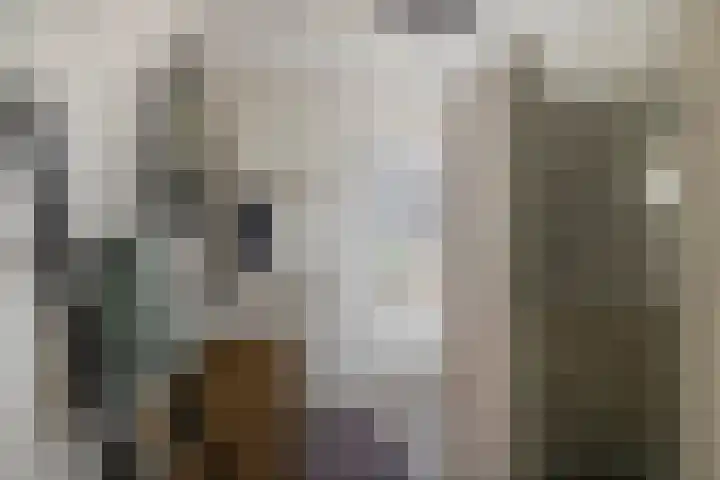 Bremraap 8 Tegelen thumbnail 15