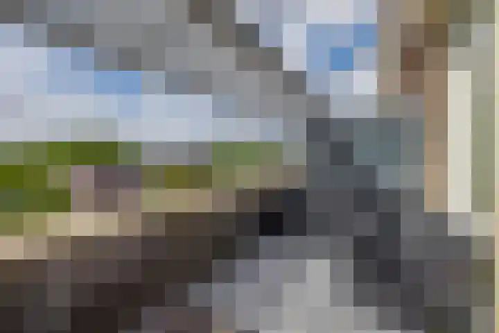 Bremraap 8 Tegelen thumbnail 18