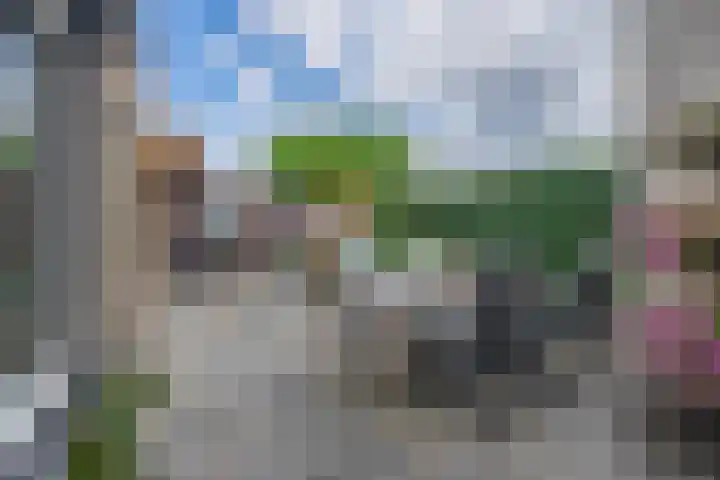 Bremraap 8 Tegelen thumbnail 19