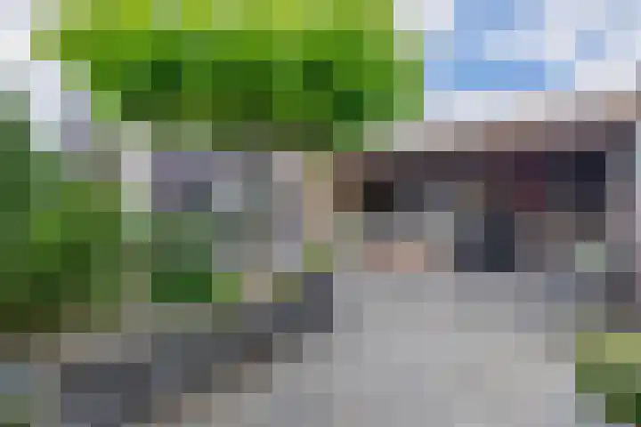 Bremraap 8 Tegelen thumbnail 20