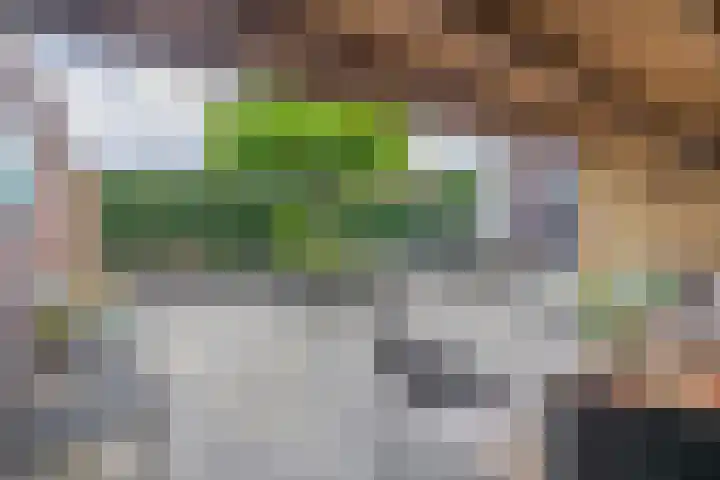 Bremraap 8 Tegelen thumbnail 21