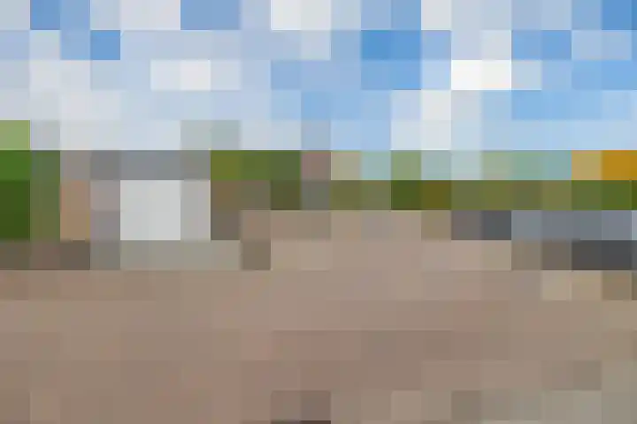 Bremraap 8 Tegelen thumbnail 22
