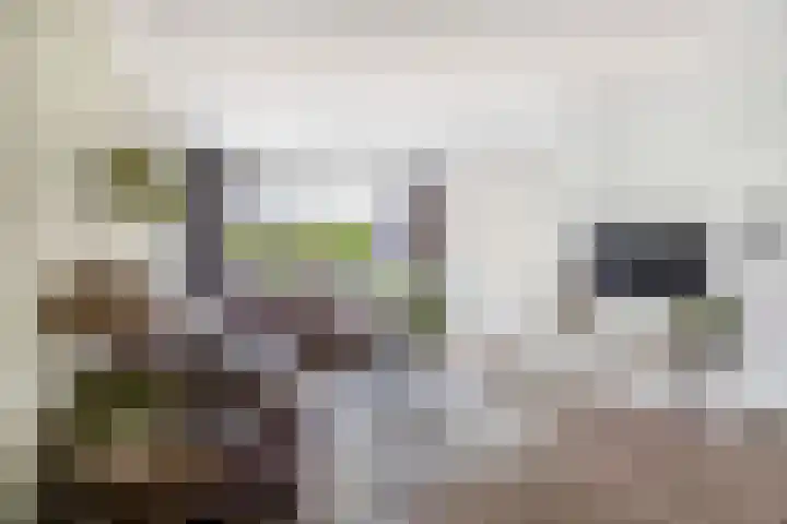 Bremraap 8 Tegelen thumbnail 4