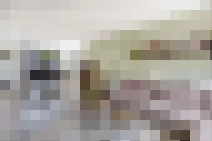 Bremraap 8 Tegelen thumbnail 5