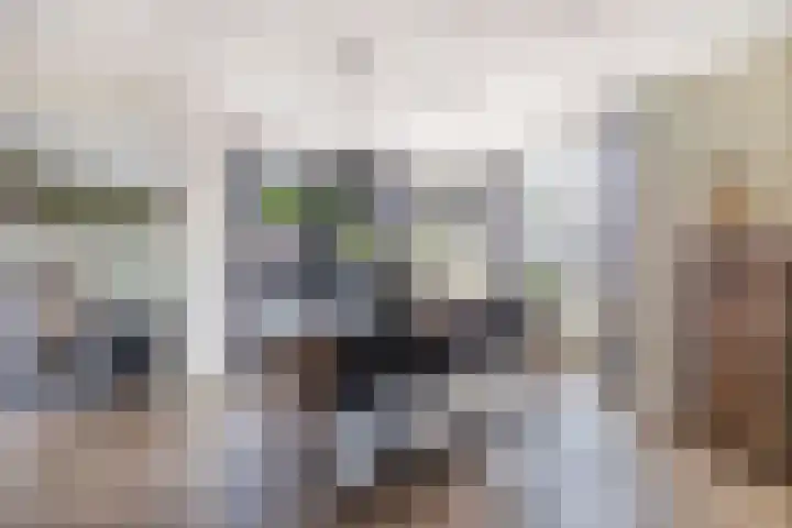 Bremraap 8 Tegelen thumbnail 6