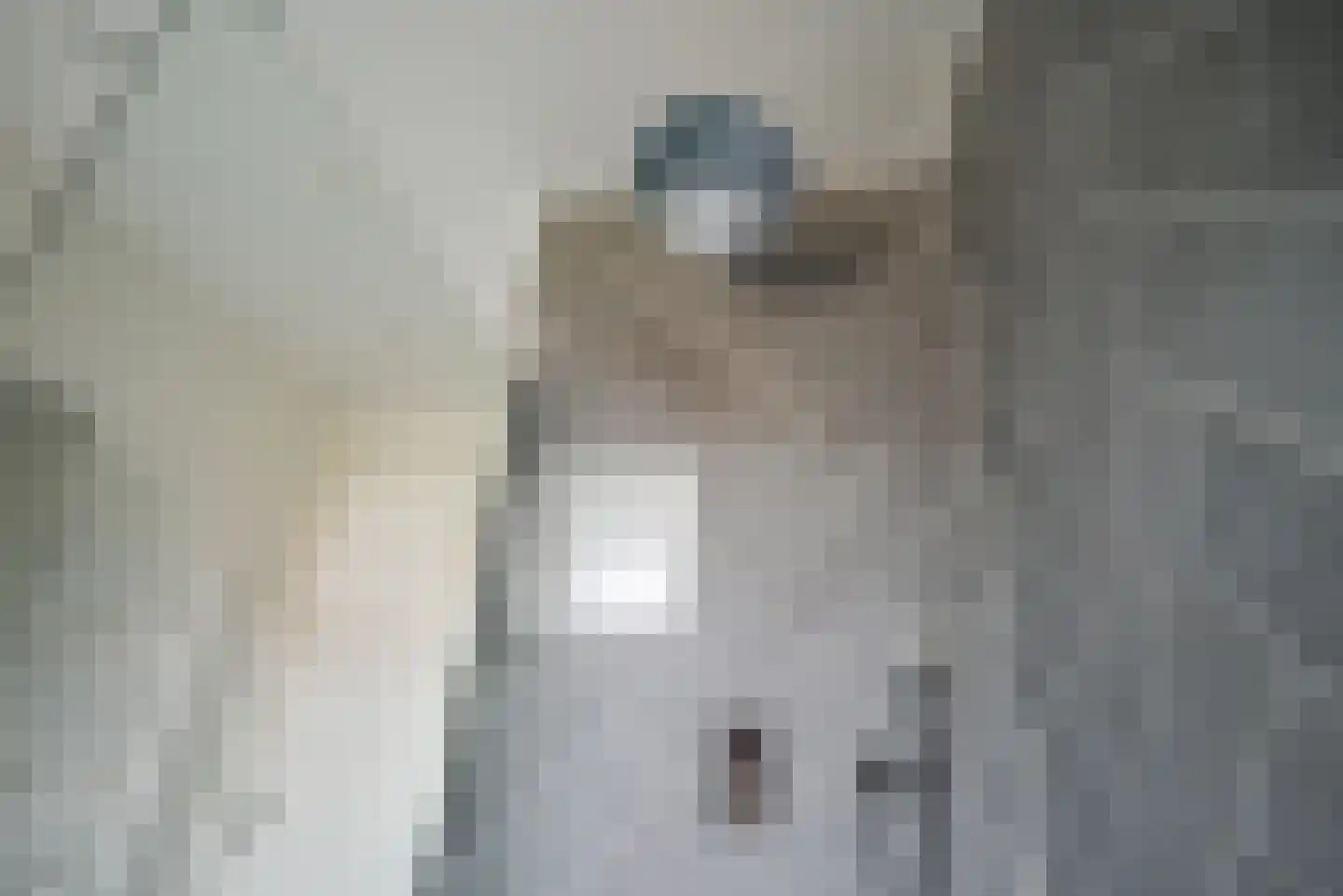 Bremstraat 1 Berkel en Rodenrijs thumbnail 22