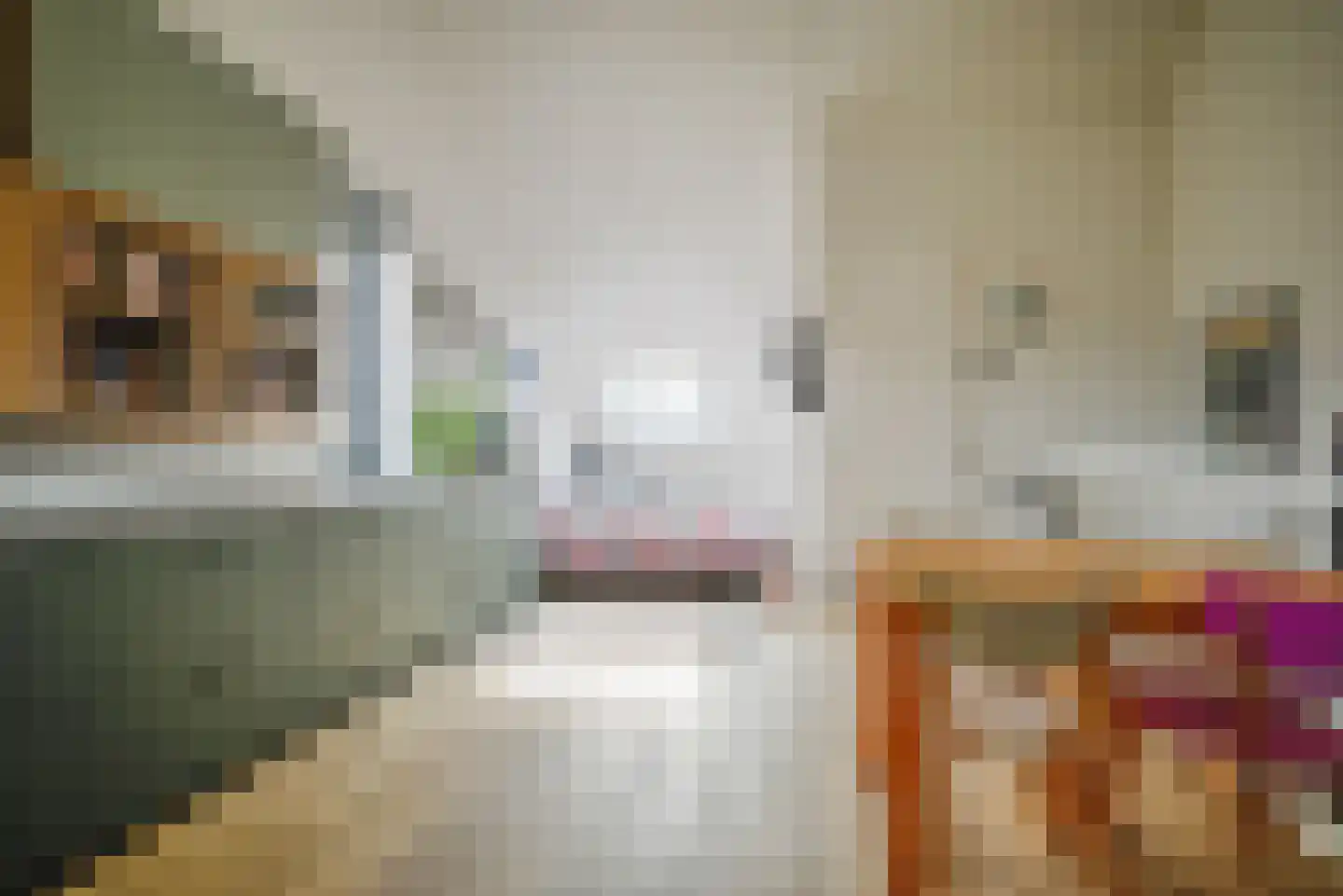 Bremstraat 1 Berkel en Rodenrijs thumbnail 34