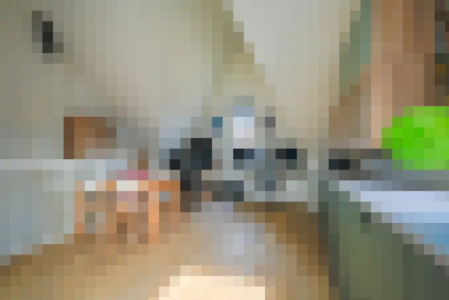 Bremstraat 1 Berkel en Rodenrijs thumbnail 36