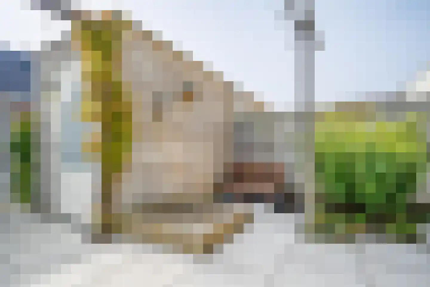 Bremstraat 1 Berkel en Rodenrijs thumbnail 44