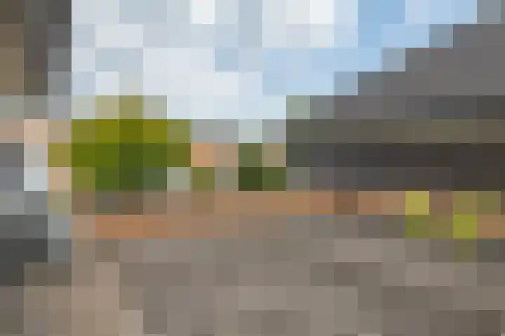 Bremstraat 10 Lisserbroek thumbnail 27