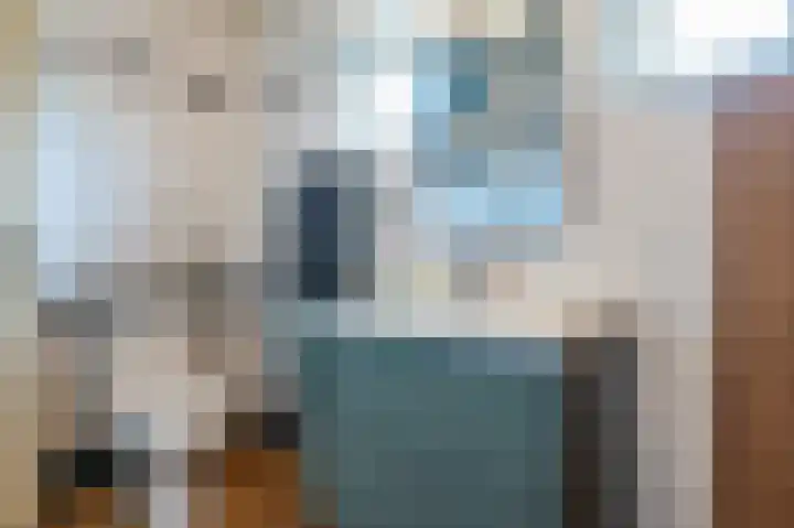 Bremstraat 10 Lisserbroek thumbnail 28