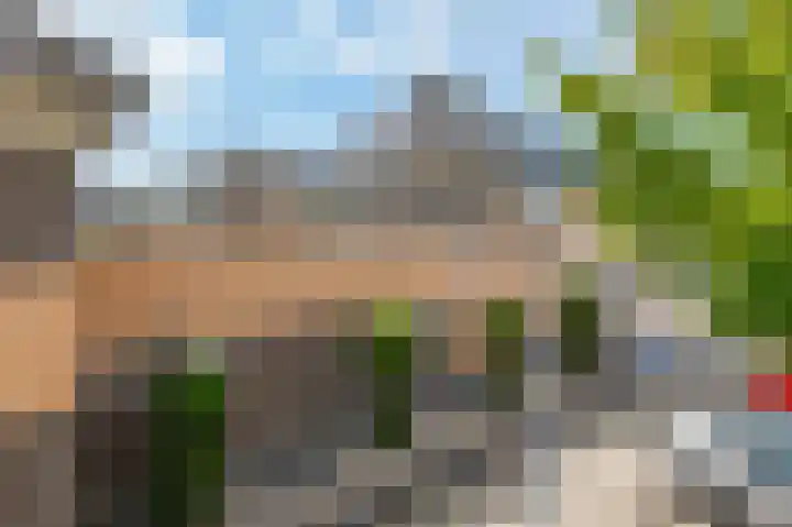 Bremstraat 10 Lisserbroek thumbnail 6