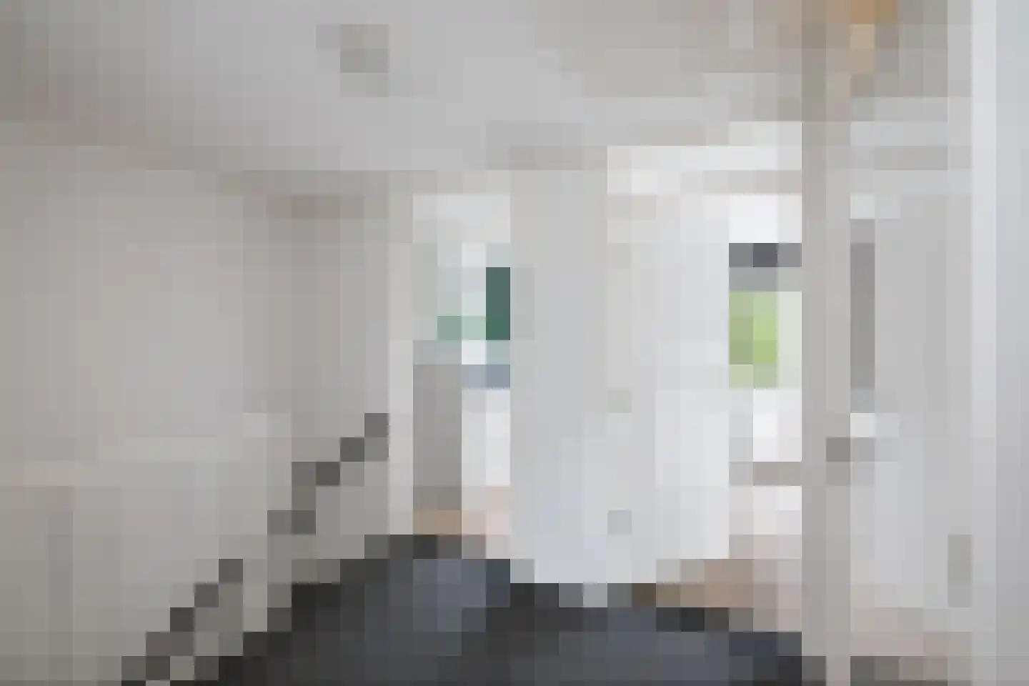 Bremstraat 10 Twello thumbnail 12