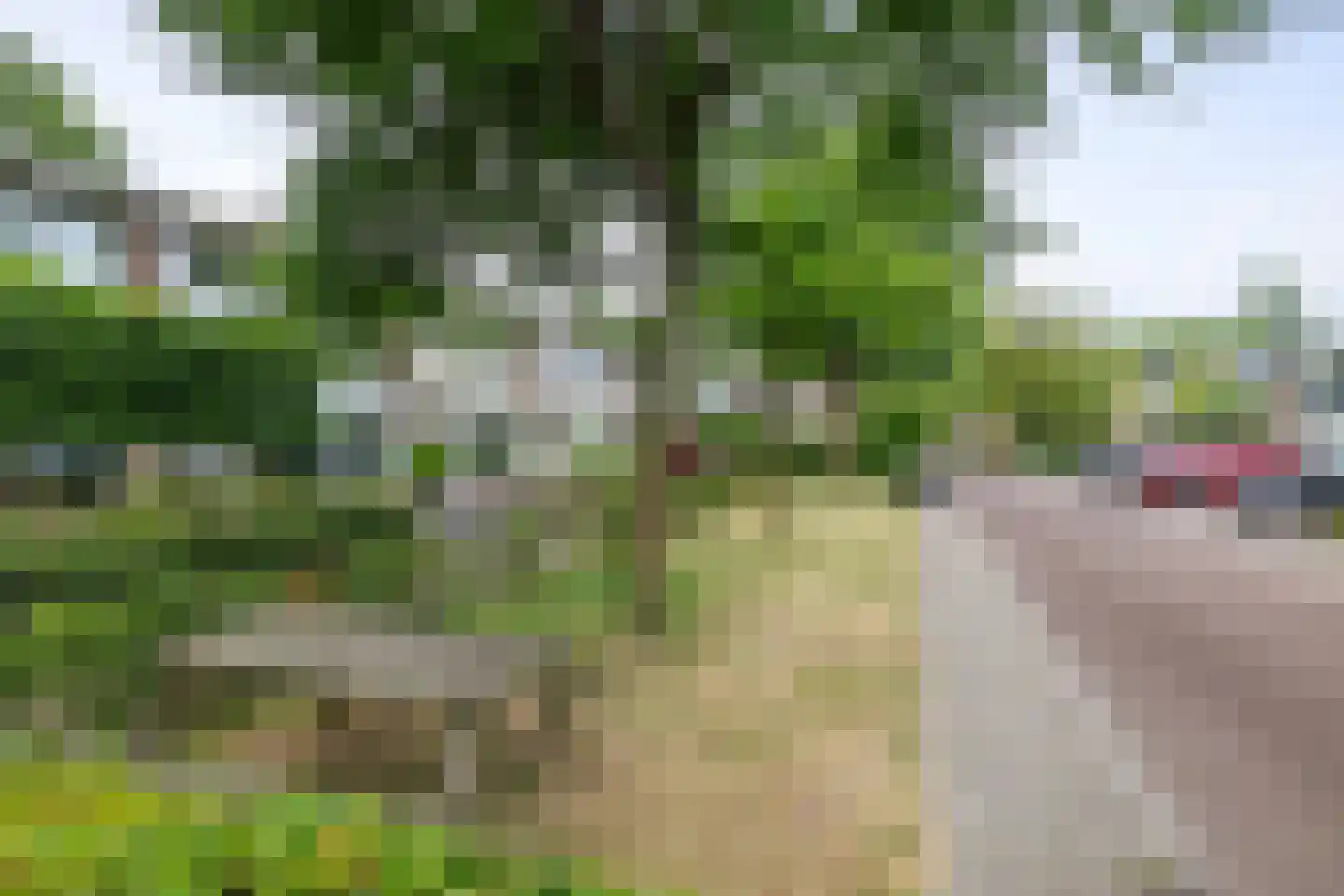 Bremstraat 10 Twello thumbnail 29
