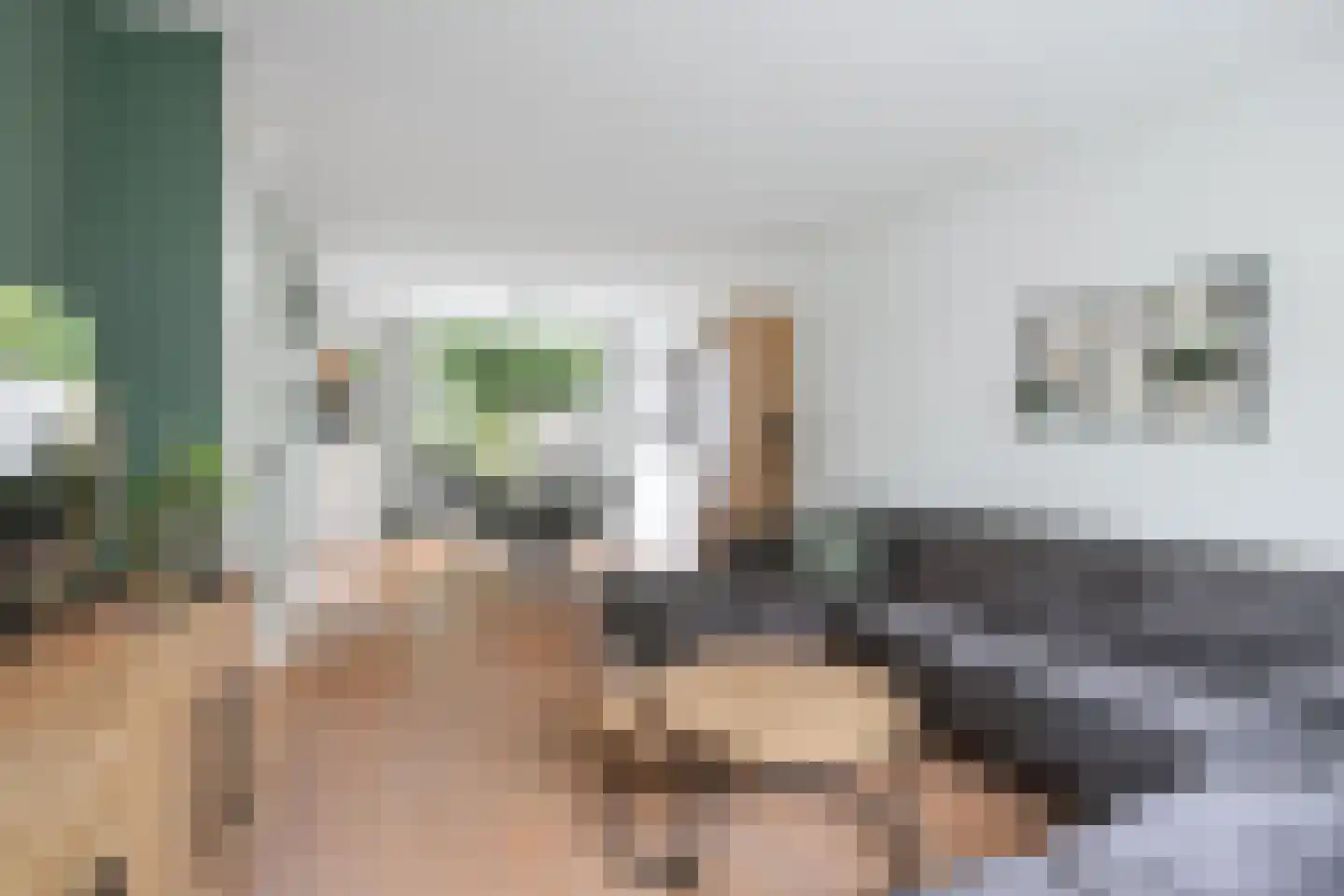 Bremstraat 10 Twello thumbnail 7