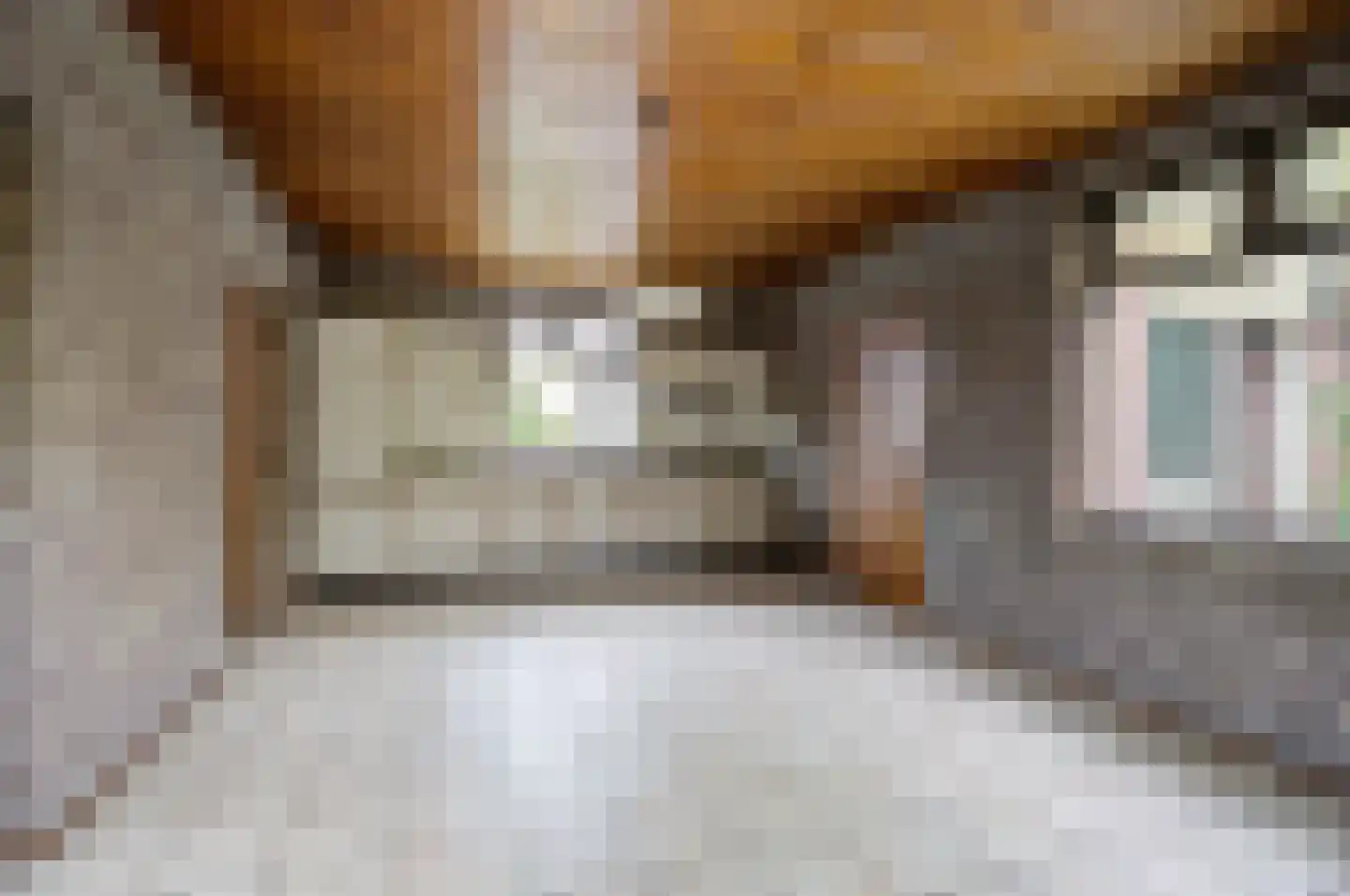 Bremstraat 111 St. Willebrord thumbnail 12