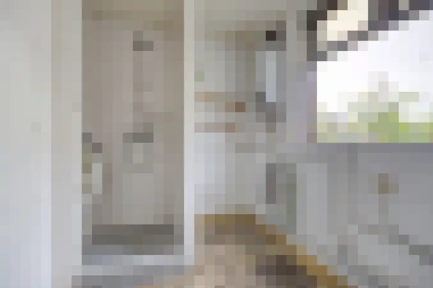 Bremstraat 111 St. Willebrord thumbnail 15