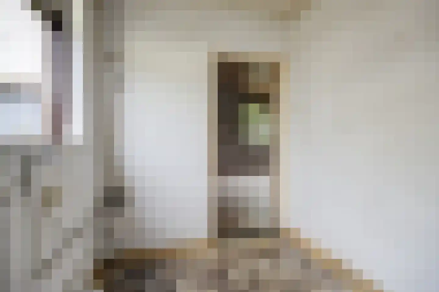 Bremstraat 111 St. Willebrord thumbnail 16