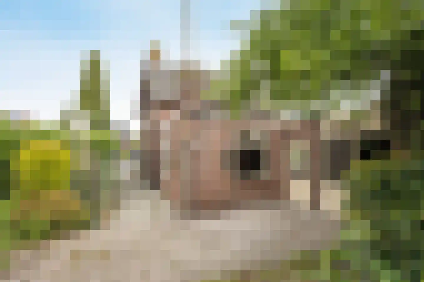 Bremstraat 111 St. Willebrord thumbnail 26
