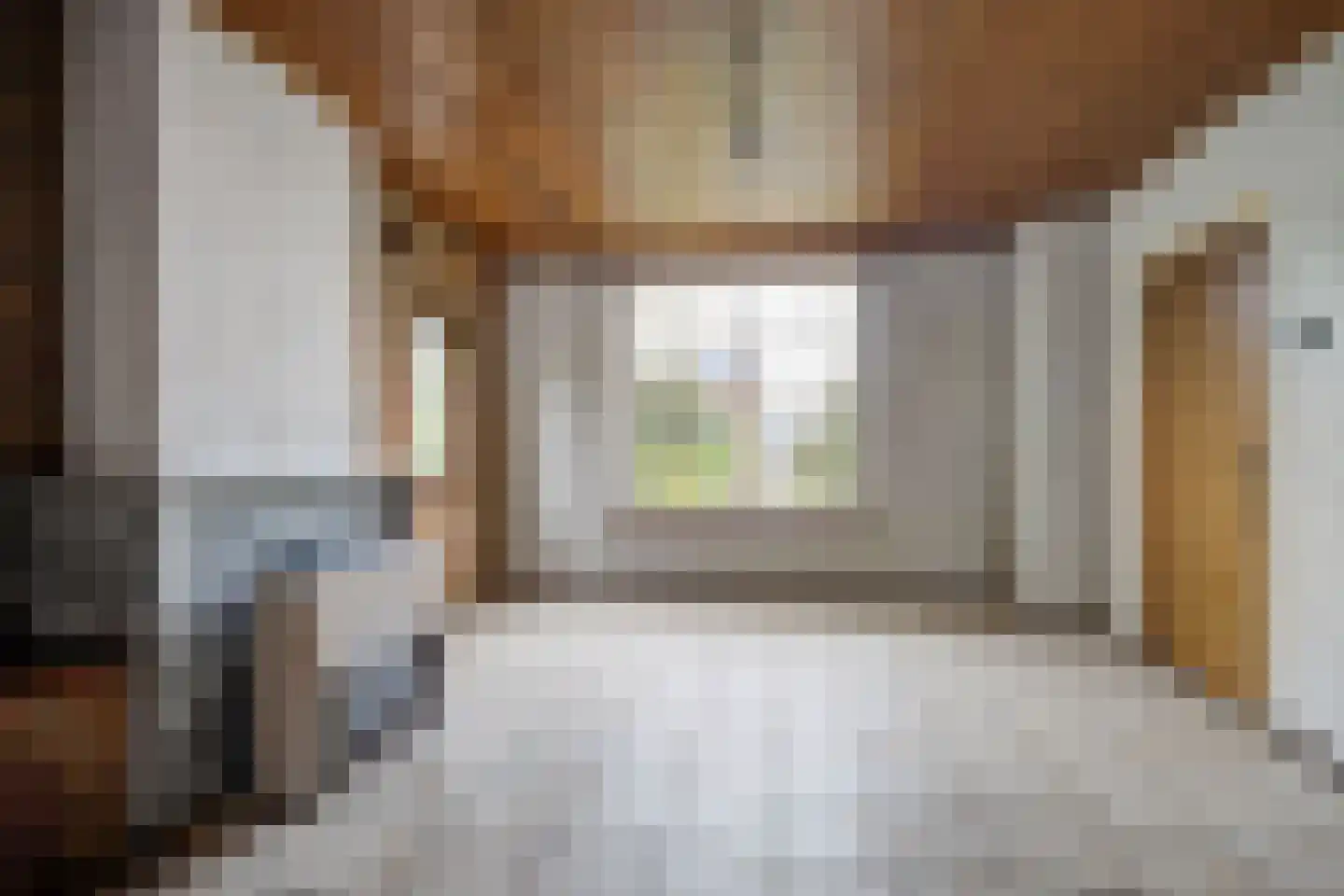 Bremstraat 111 St. Willebrord thumbnail 6