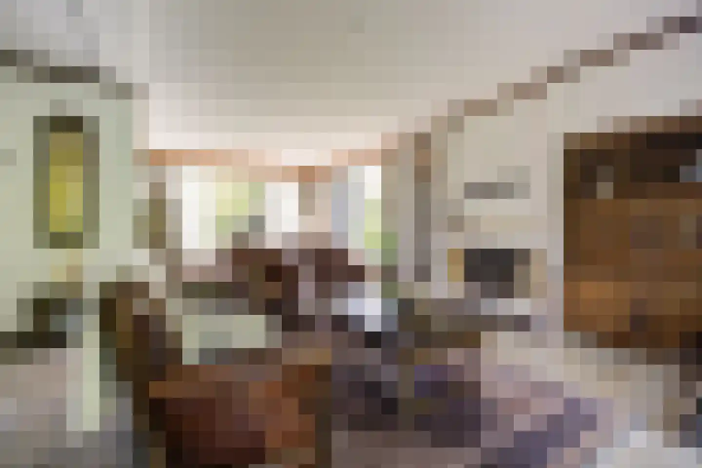 Bremstraat 114 St. Willebrord thumbnail 11