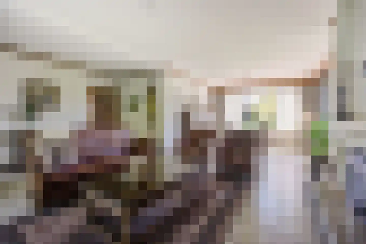 Bremstraat 114 St. Willebrord thumbnail 13