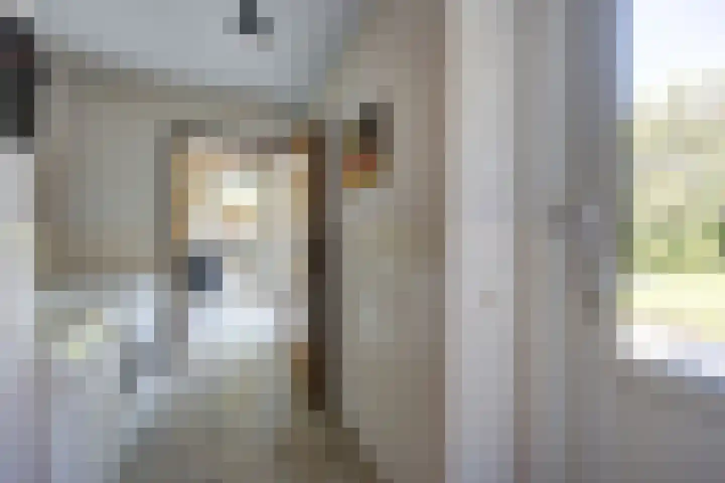 Bremstraat 114 St. Willebrord thumbnail 23