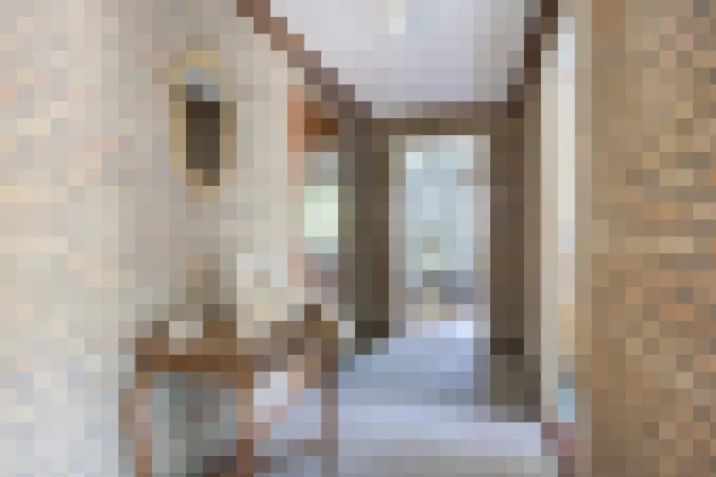 Bremstraat 114 St. Willebrord thumbnail 30