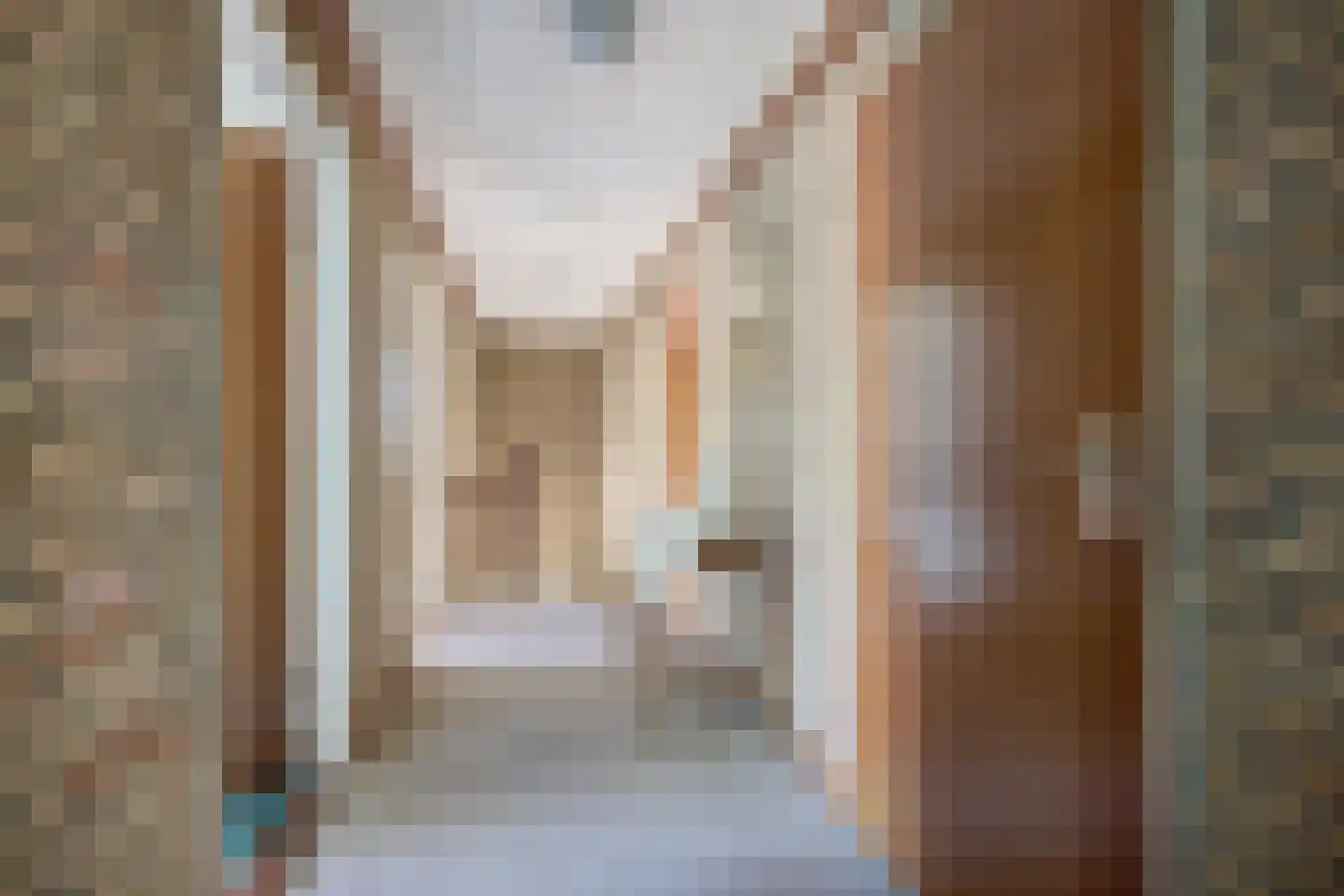Bremstraat 114 St. Willebrord thumbnail 31