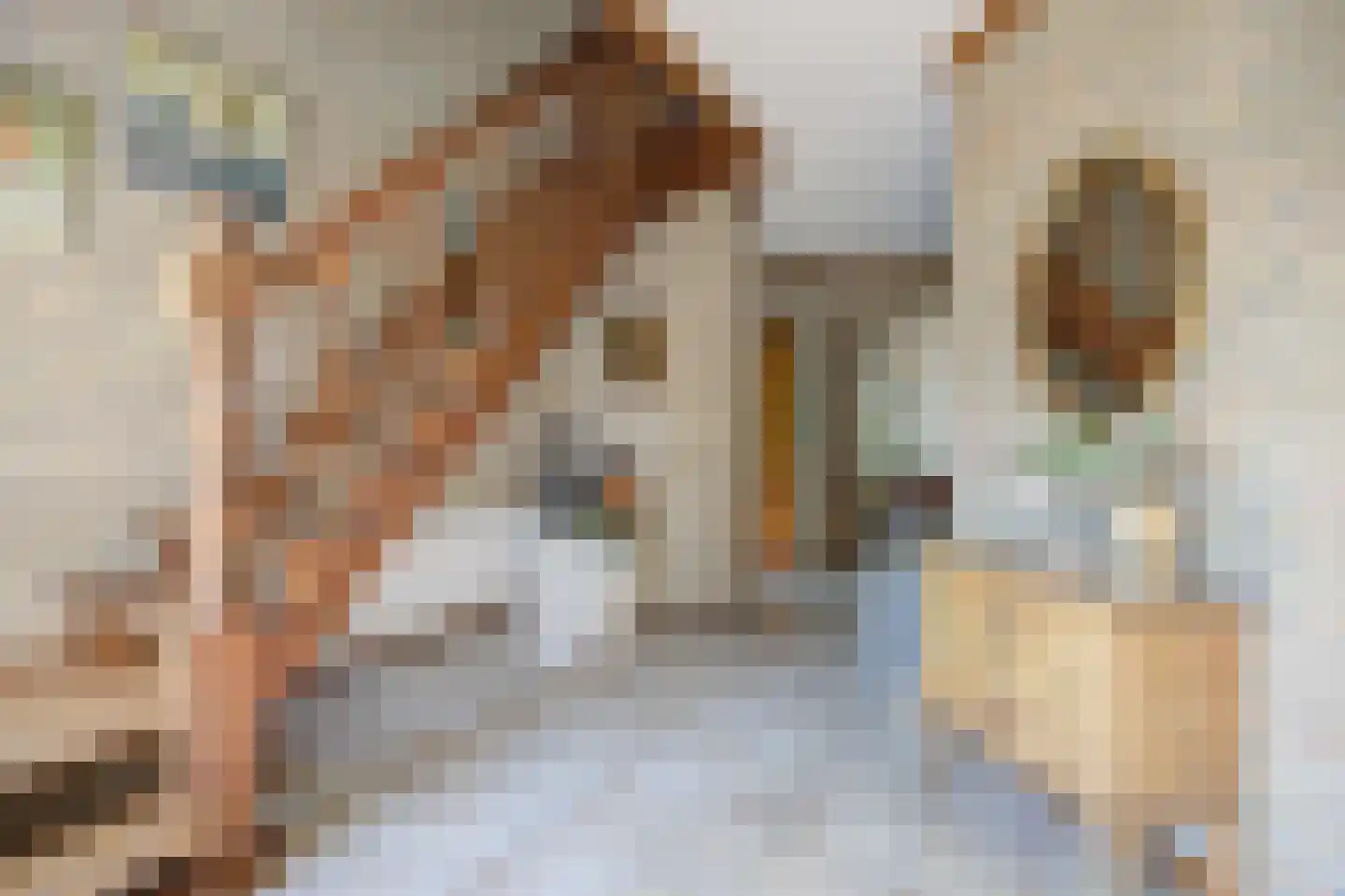 Bremstraat 114 St. Willebrord thumbnail 6