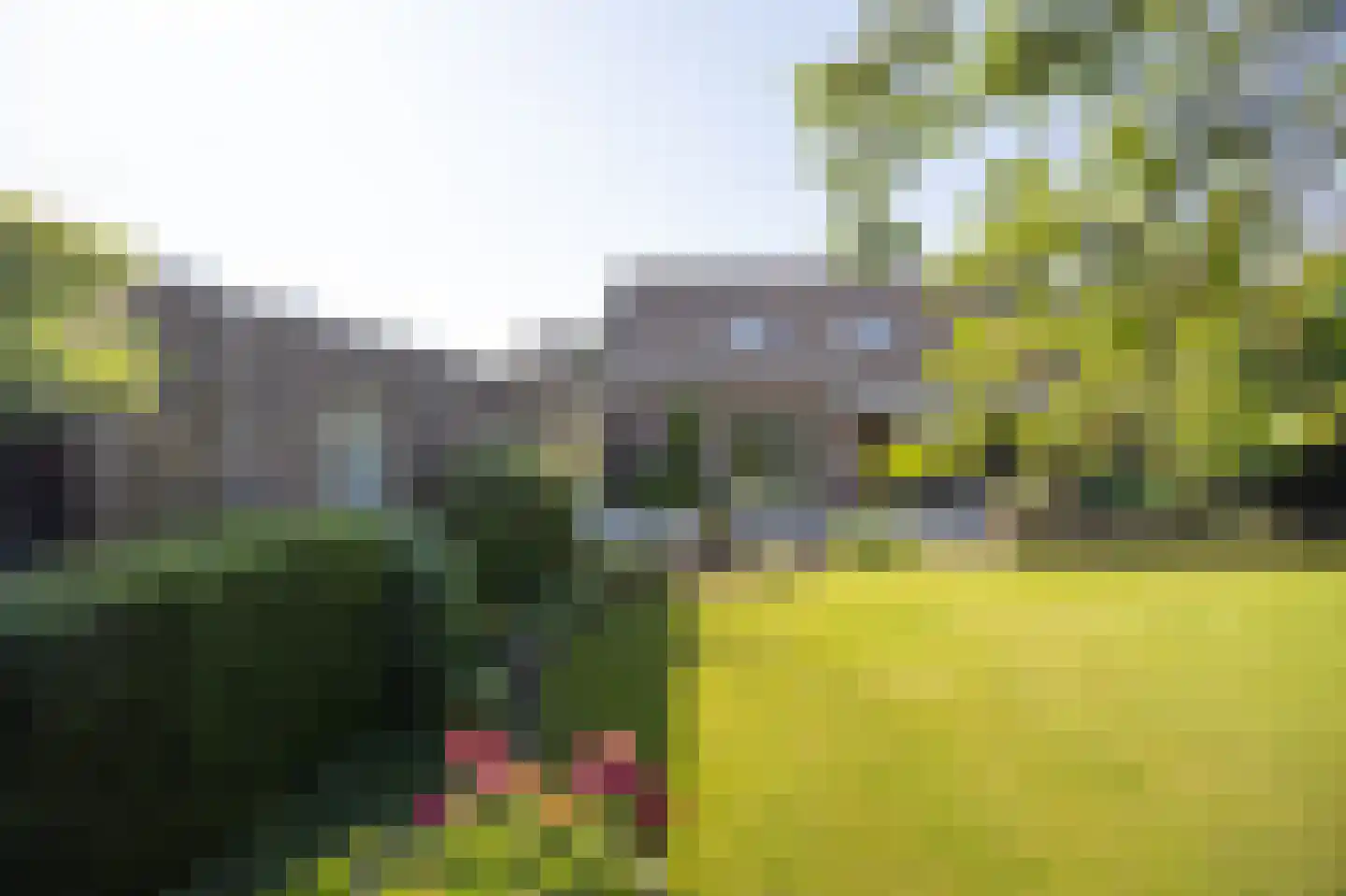 Bremstraat 114 St. Willebrord thumbnail 63