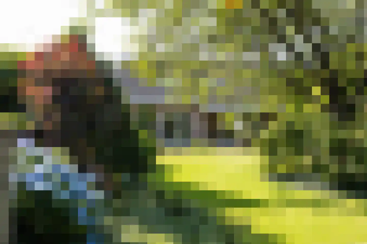 Bremstraat 114 St. Willebrord thumbnail 64