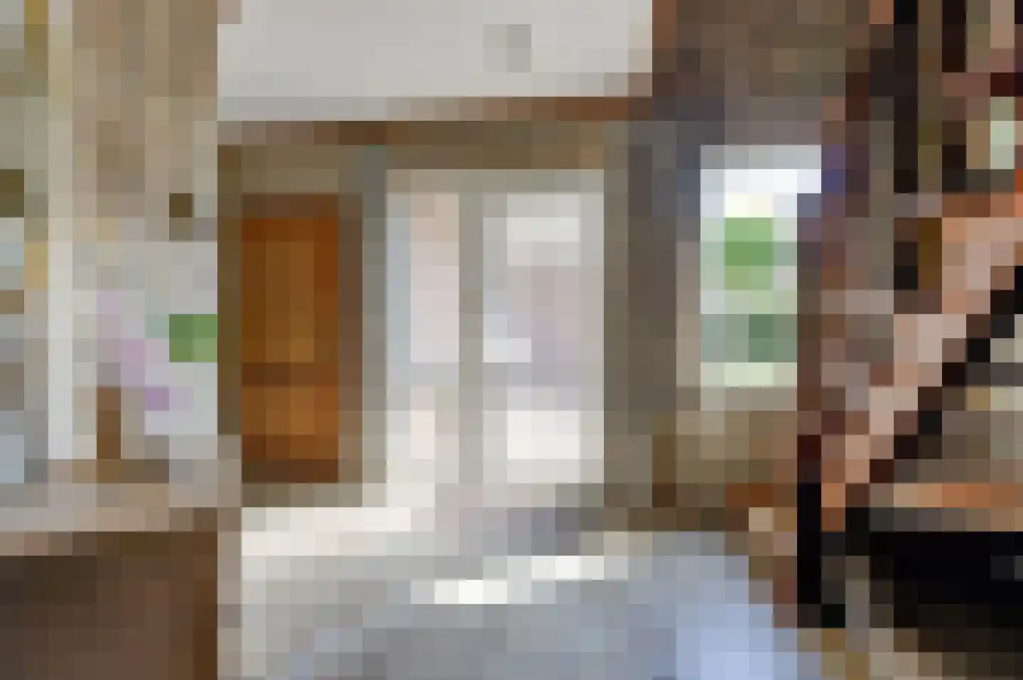 Bremstraat 114 St. Willebrord thumbnail 7