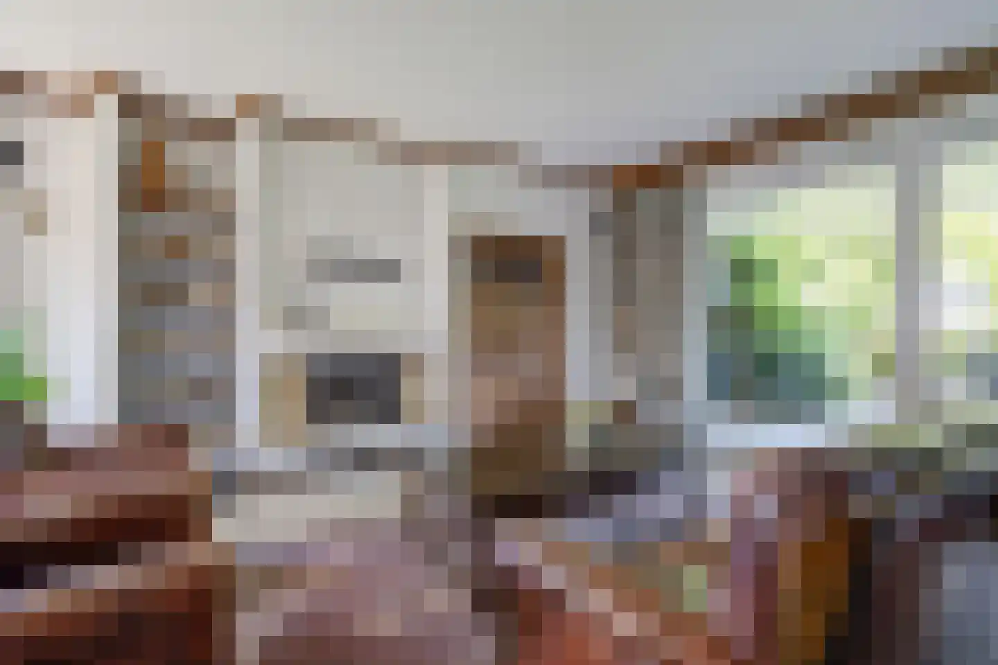 Bremstraat 114 St. Willebrord thumbnail 9