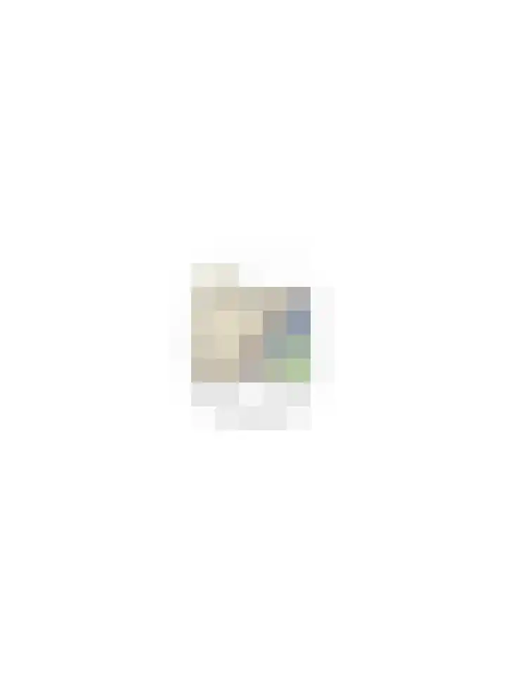Bremstraat 116 St. Willebrord thumbnail 117