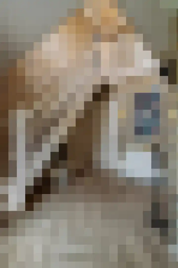 Bremstraat 116 St. Willebrord thumbnail 16