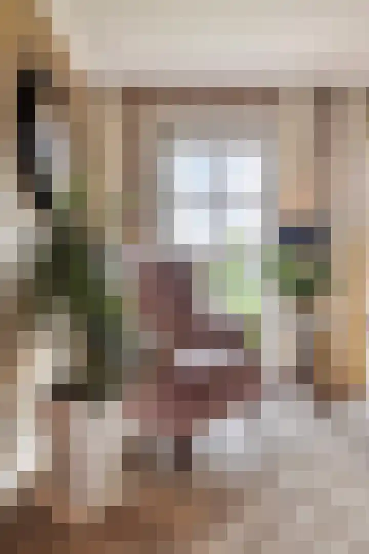 Bremstraat 116 St. Willebrord thumbnail 22