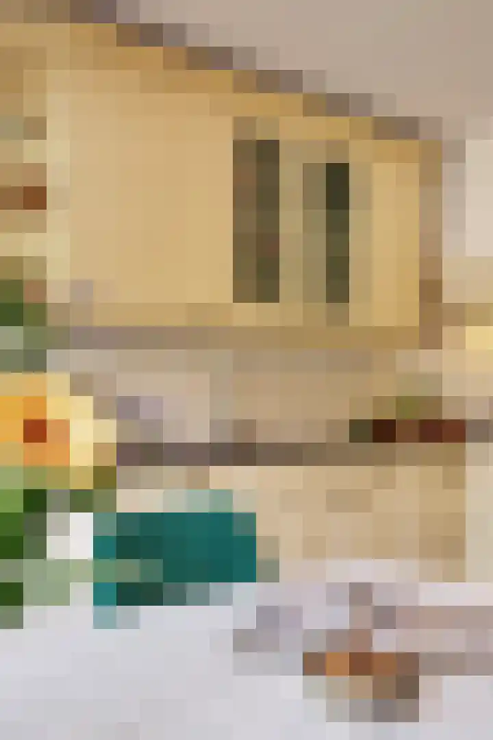 Bremstraat 116 St. Willebrord thumbnail 33