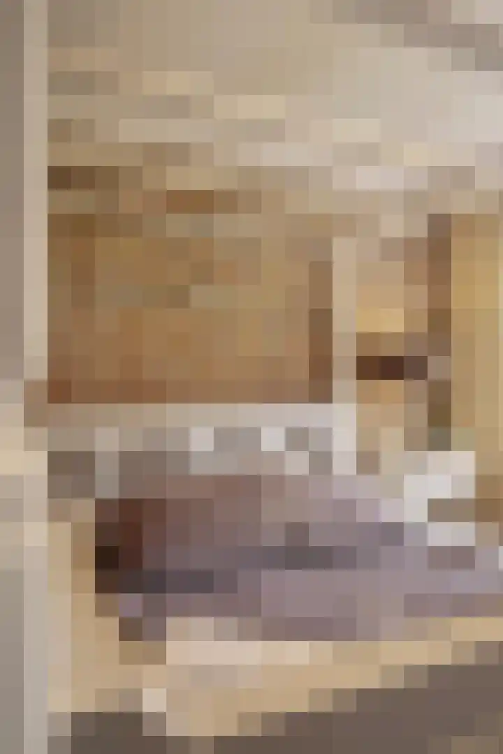 Bremstraat 116 St. Willebrord thumbnail 45
