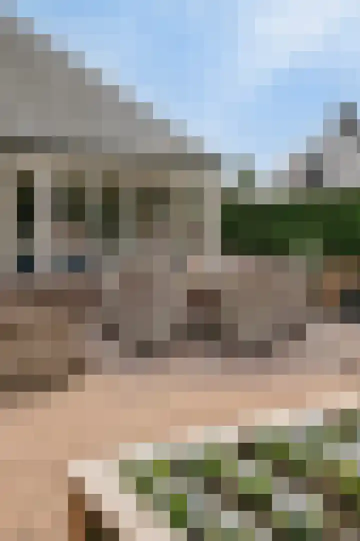 Bremstraat 116 St. Willebrord thumbnail 79