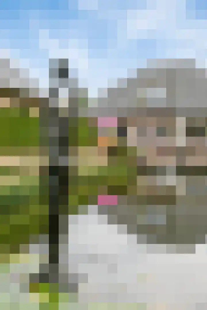 Bremstraat 116 St. Willebrord thumbnail 84