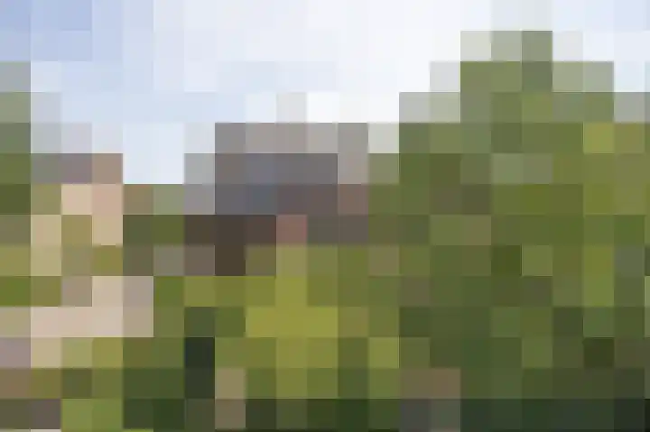Bremstraat 117 A St. Willebrord thumbnail 41