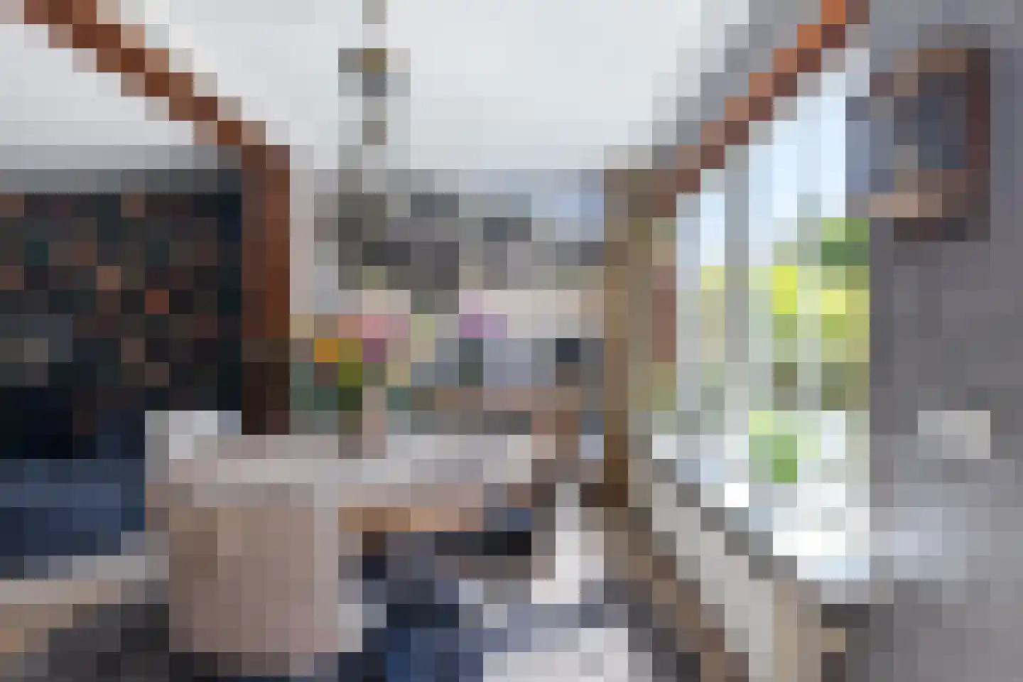 Bremstraat 14 Klaaswaal thumbnail 13