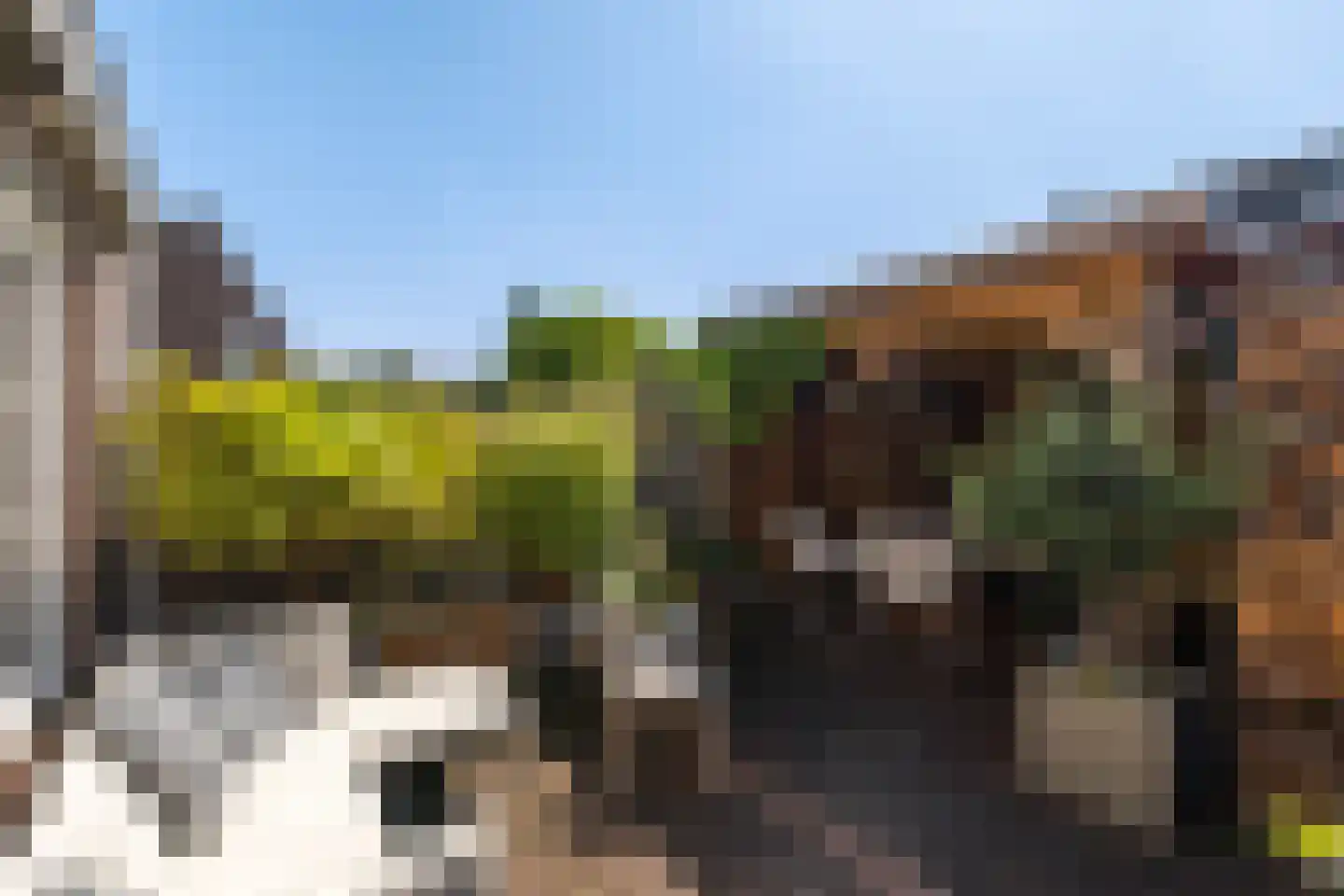 Bremstraat 14 Klaaswaal thumbnail 34