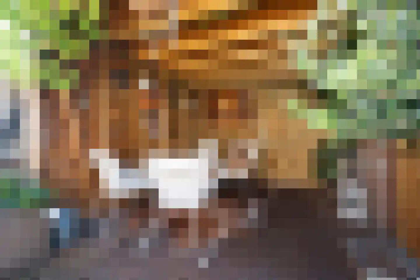 Bremstraat 14 Klaaswaal thumbnail 35